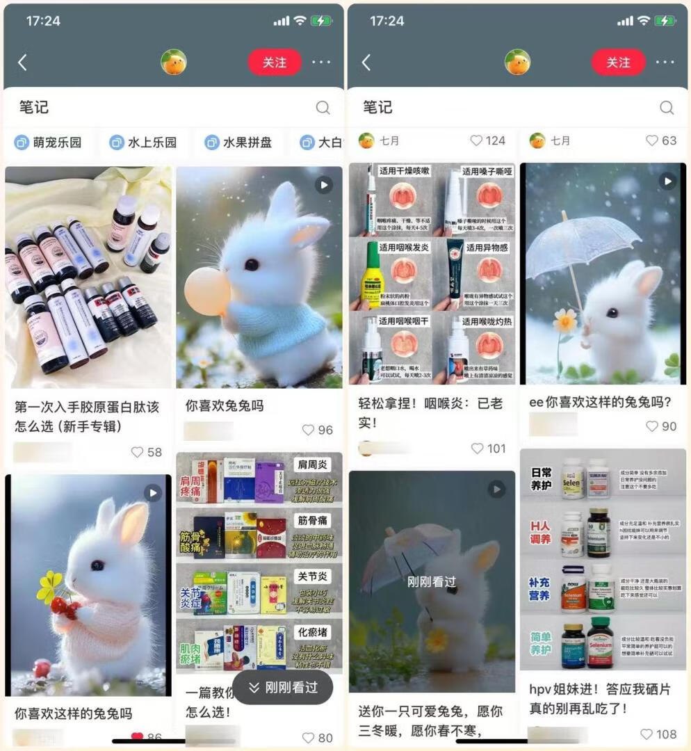 图片[1]-AI视频—小红书手指小白兔-海豚项目网