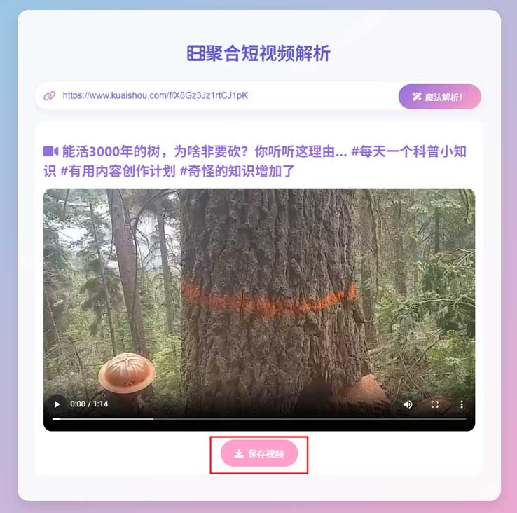 图片[6]-短视频无水印下载工具，支持抖音、快手、小红书、B站等可以复制链接平台，亲测好用-海豚项目网