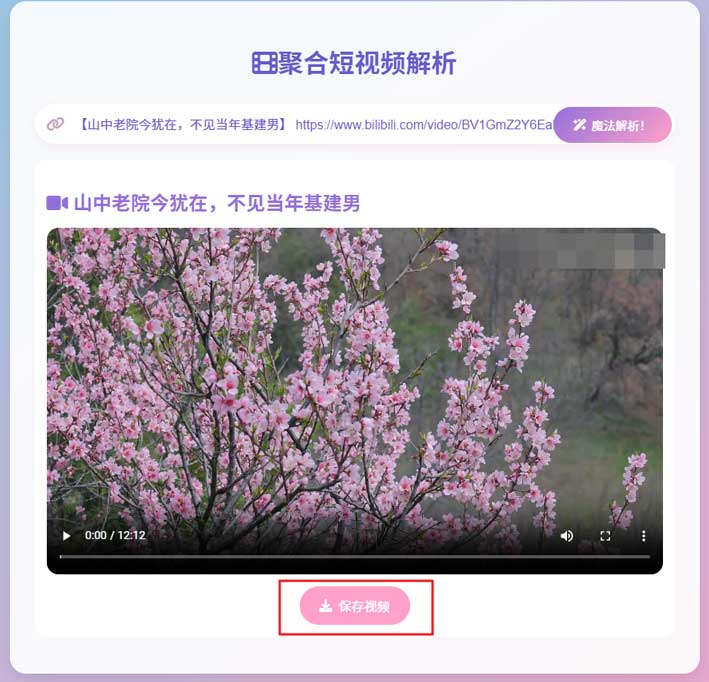图片[12]-短视频无水印下载工具，支持抖音、快手、小红书、B站等可以复制链接平台，亲测好用-海豚项目网