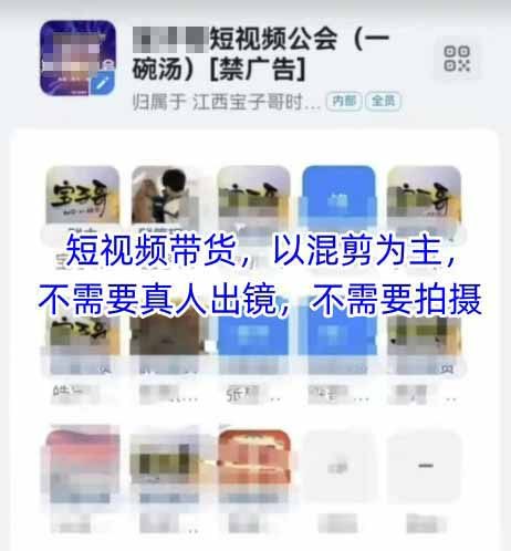 图片[1]-2025短视频带货内训营，以混剪为主，不需要真人出镜，不需要拍摄-海豚项目网