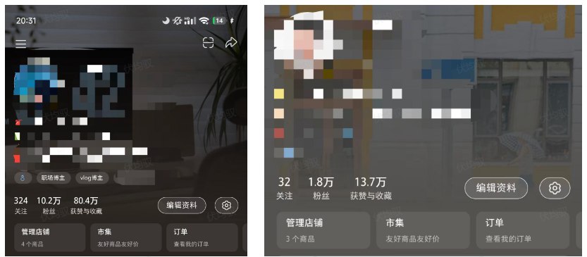 图片[1]-普通人也能赢：小红书从纯素人做到10万粉的破局之路-海豚项目网